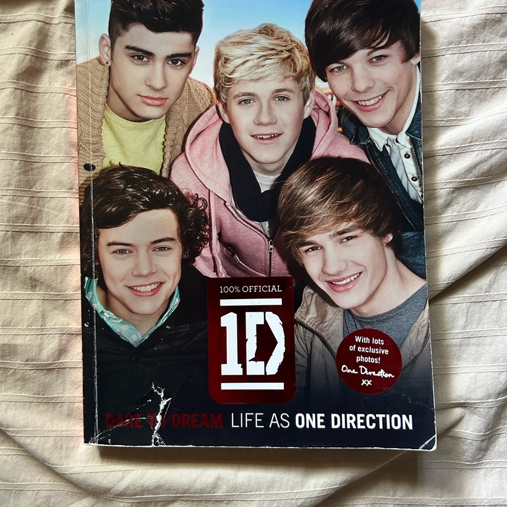 1D Dare to Dream Life as One Direction Book